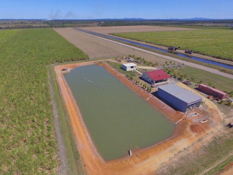 397 Eardleys Road, Welcome Creek QLD 4670