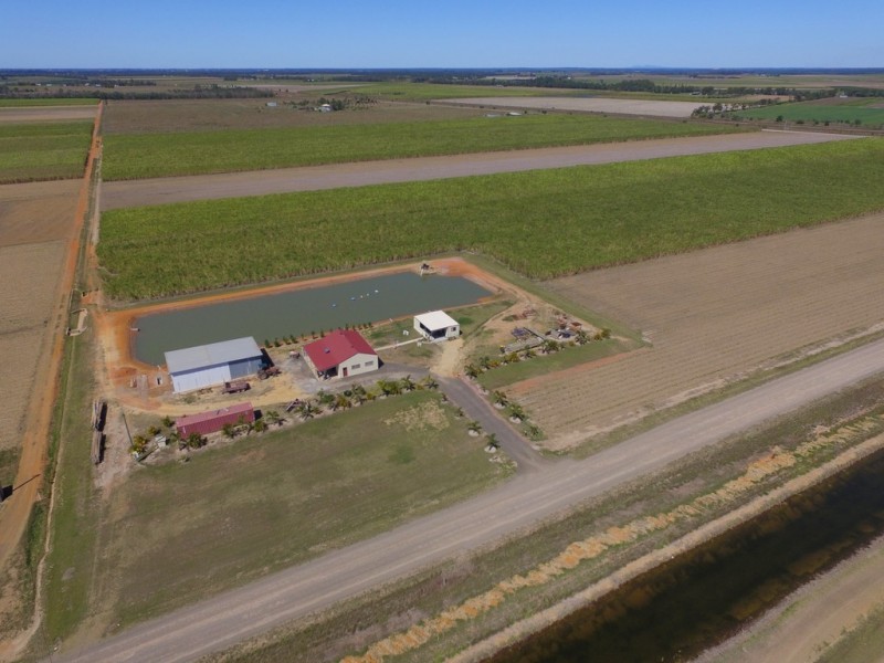 397 Eardleys Road, Welcome Creek QLD 4670