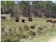 99 Coes Road, Gin Gin QLD 4671