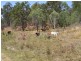 99 Coes Road, Gin Gin QLD 4671