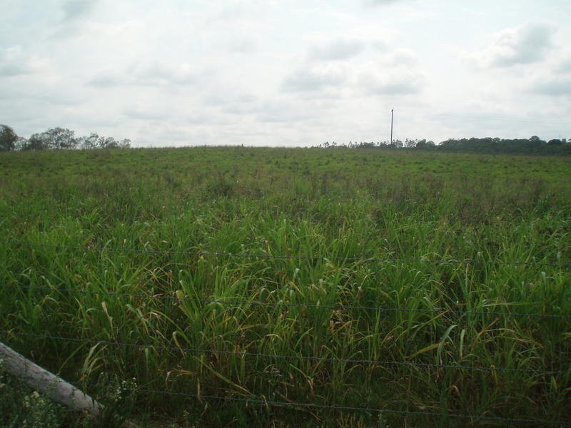 38 Rowing Road, Bucca QLD 4670