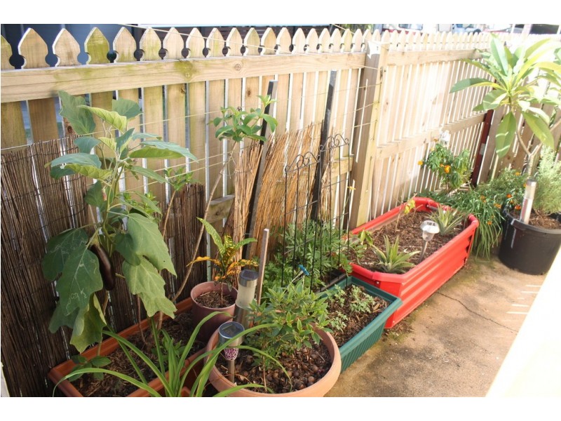 69 Bundaberg Park Lodge, Kensington QLD 4670