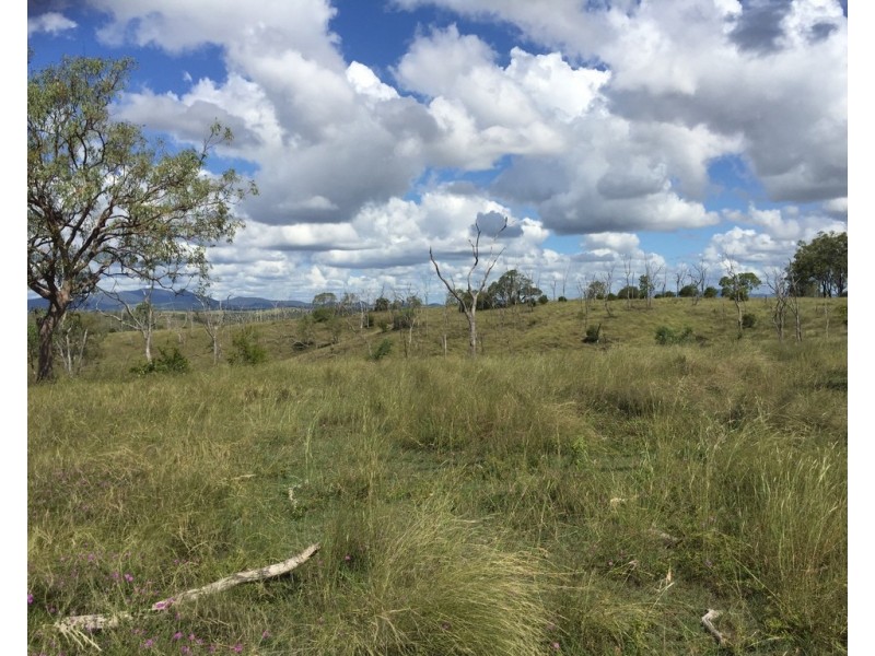 0 Longatong Road, Coringa QLD 4621
