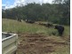 0 Longatong Road, Coringa QLD 4621