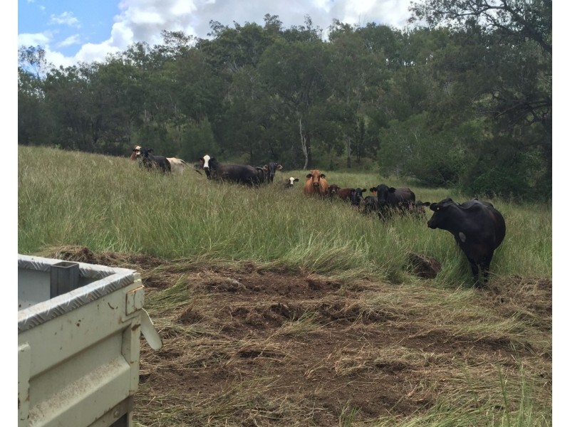 0 Longatong Road, Coringa QLD 4621