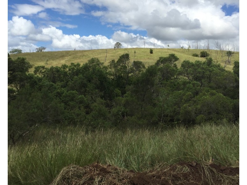 0 Longatong Road, Coringa QLD 4621