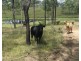 0 Longatong Road, Coringa QLD 4621