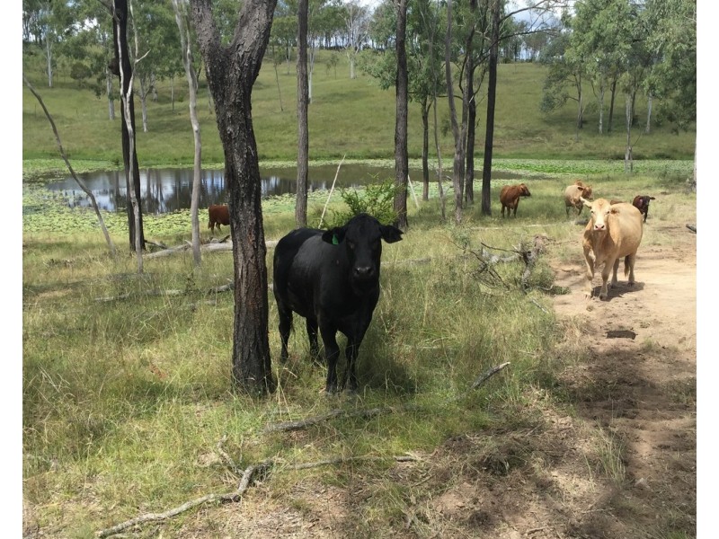 0 Longatong Road, Coringa QLD 4621