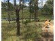 0 Longatong Road, Coringa QLD 4621