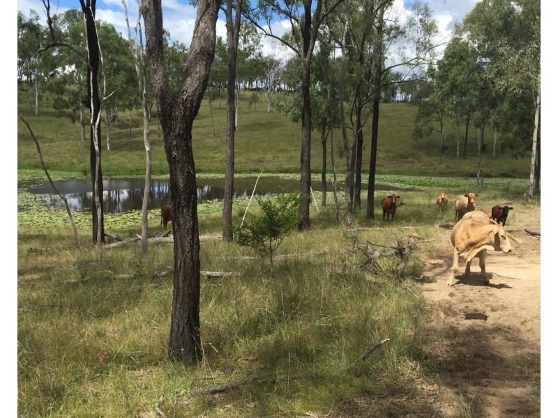 0 Longatong Road, Coringa QLD 4621