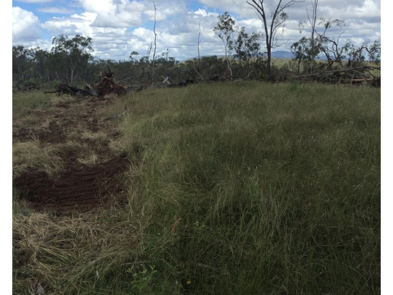 0 Longatong Road, Coringa QLD 4621
