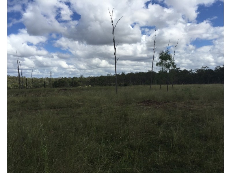 0 Longatong Road, Coringa QLD 4621
