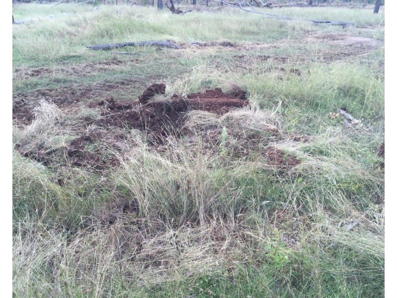 0 Longatong Road, Coringa QLD 4621
