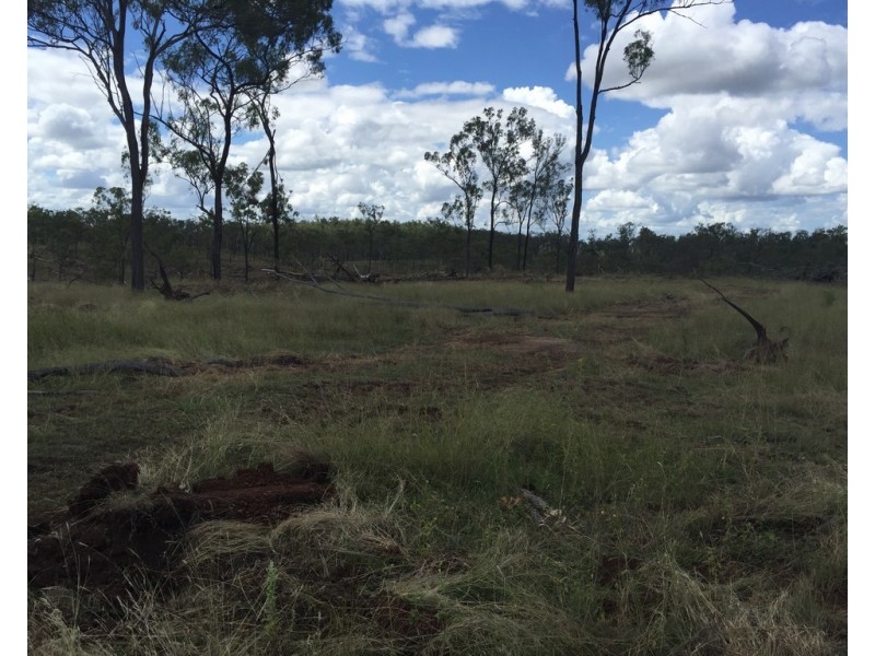 0 Longatong Road, Coringa QLD 4621