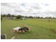 34 Old Bushs Road, Avondale QLD 4670