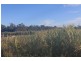 Lot 65 Newlands Road, North Gregory QLD 4660