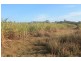 Lot 65 Newlands Road, North Gregory QLD 4660
