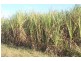 Lot 65 Newlands Road, North Gregory QLD 4660