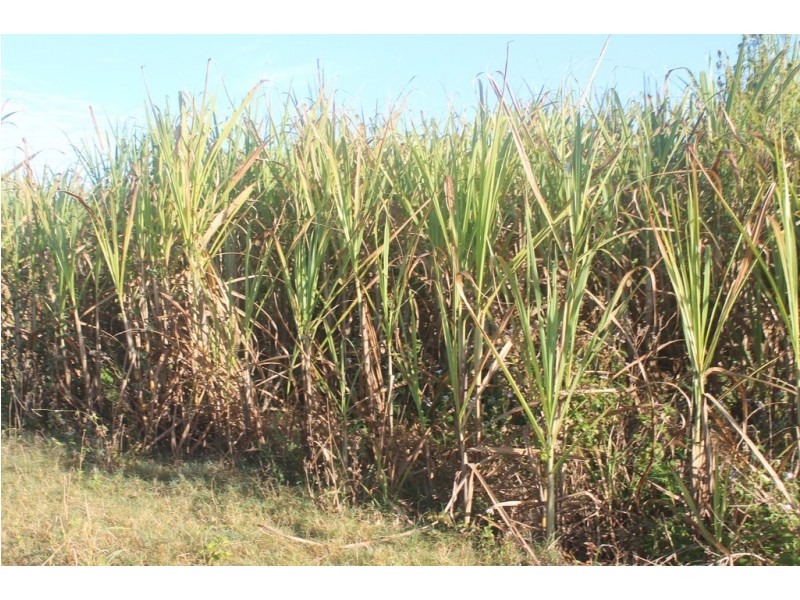 Lot 65 Newlands Road, North Gregory QLD 4660