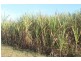 Lot 65 Newlands Road, North Gregory QLD 4660