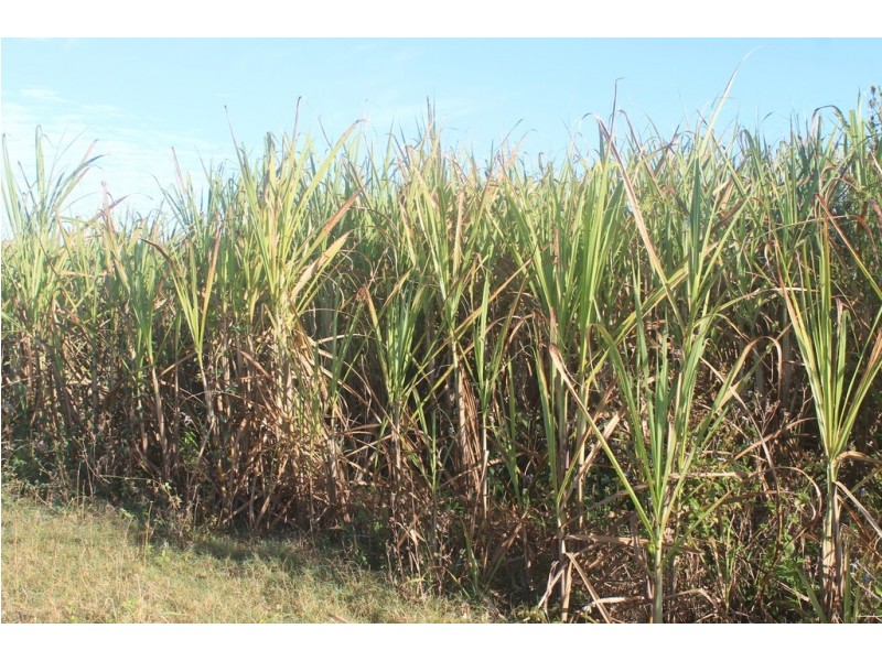 Lot 65 Newlands Road, North Gregory QLD 4660