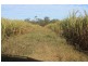 Lot 65 Newlands Road, North Gregory QLD 4660