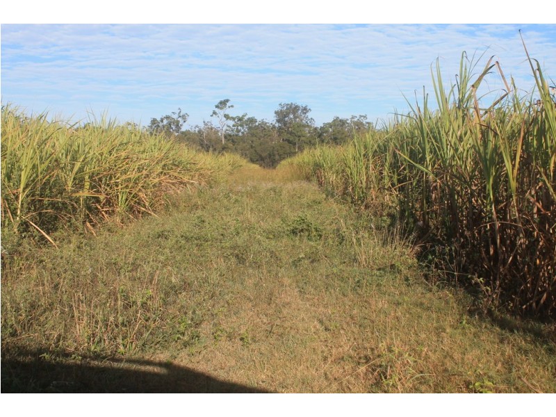 Lot 65 Newlands Road, North Gregory QLD 4660