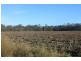 Lot 65 Newlands Road, North Gregory QLD 4660