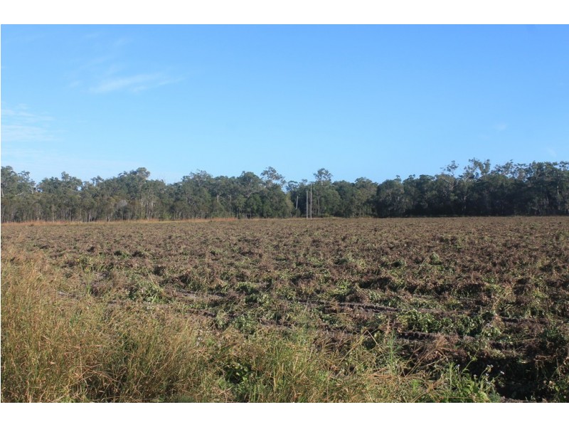 Lot 65 Newlands Road, North Gregory QLD 4660
