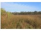 Lot 65 Newlands Road, North Gregory QLD 4660