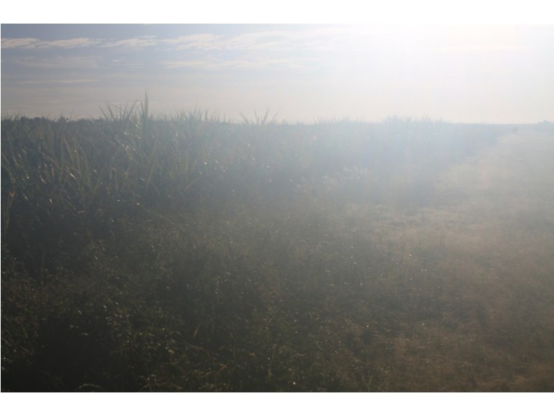Lot 65 Newlands Road, North Gregory QLD 4660