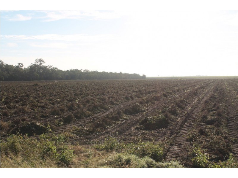 Lot 65 Newlands Road, North Gregory QLD 4660