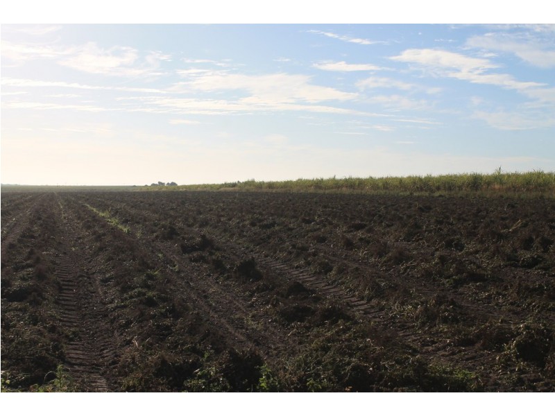 Lot 65 Newlands Road, North Gregory QLD 4660