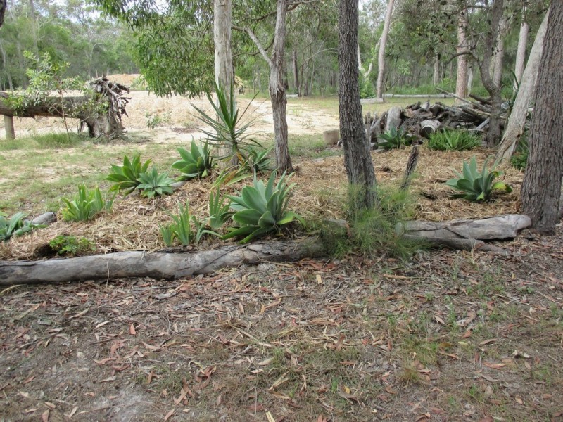 38 Tammy Rd, Moore Park Beach QLD 4670