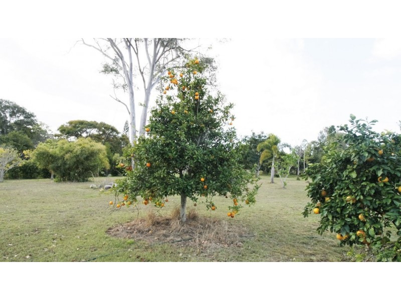 16 St Ledgers Rd, Branyan QLD 4670