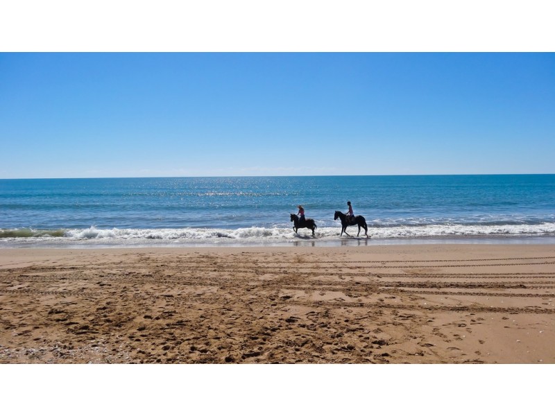 24 Plum Tree Cresent, Moore Park Beach QLD 4670