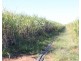 22 Faggs Road, Gooburrum QLD 4670