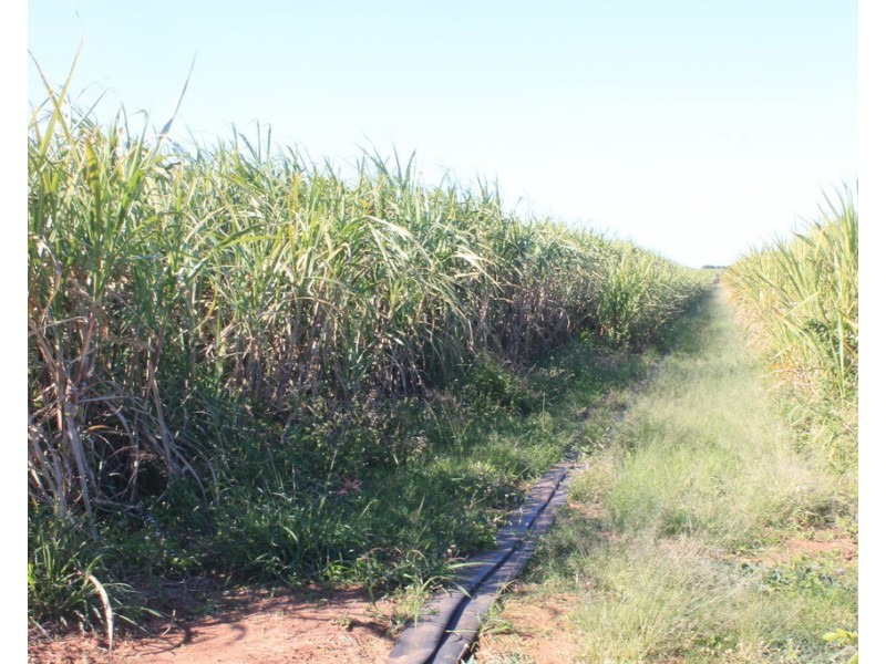 22 Faggs Road, Gooburrum QLD 4670