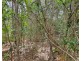 139 Davenport Drive, Coonarr QLD 4670