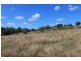 576 Ferry Hills Road, Wallaville QLD 4671