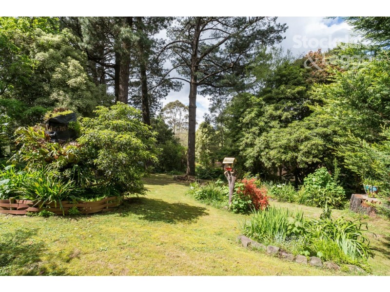 9 Poplar Crescent, Emerald VIC 3782