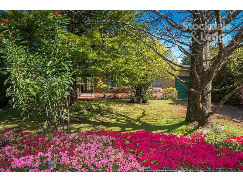 130 David Hill Road, Monbulk VIC 3793