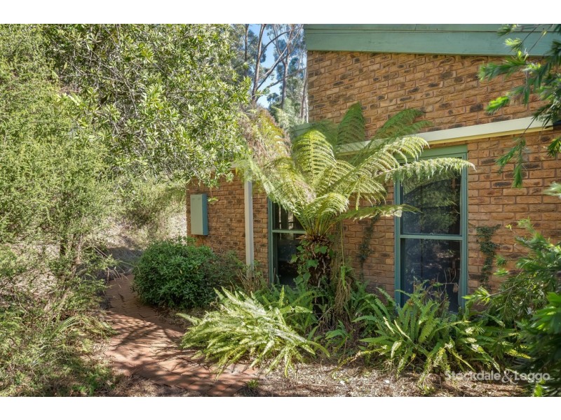 3 Alexander Street, Emerald VIC 3782