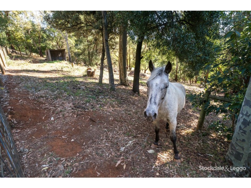 3 Alexander Street, Emerald VIC 3782