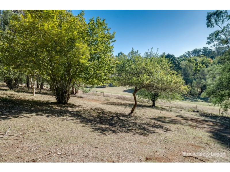 3 Alexander Street, Emerald VIC 3782