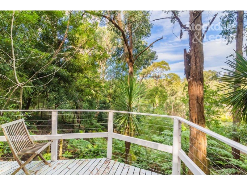 50 McNicol Rd, Belgrave VIC 3160
