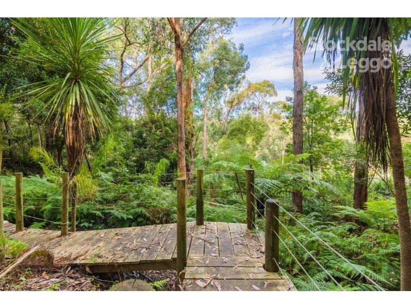 50 McNicol Rd, Belgrave VIC 3160