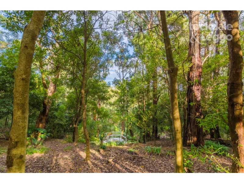 50 McNicol Rd, Belgrave VIC 3160