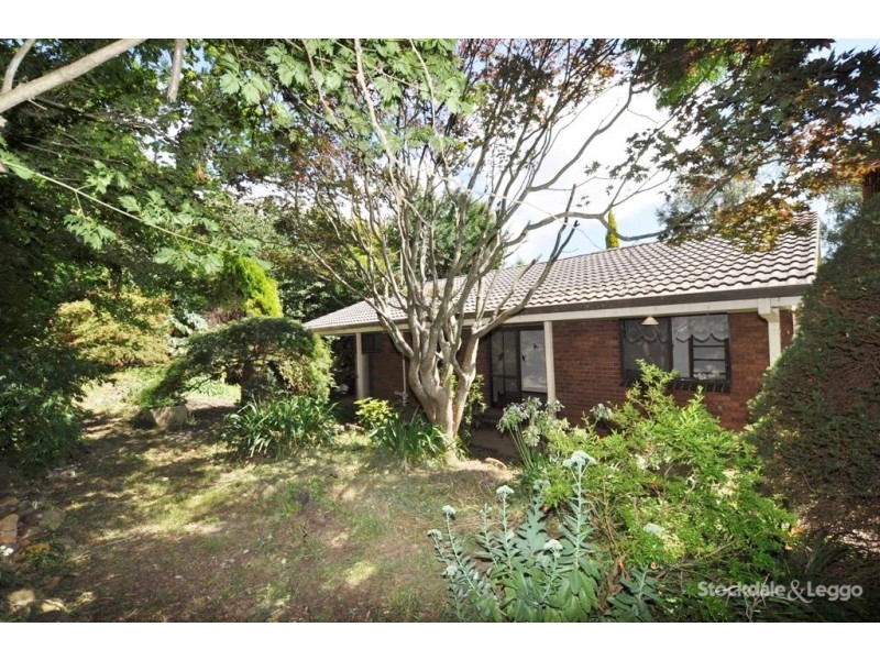 41 Charman Ave, Emerald VIC 3782