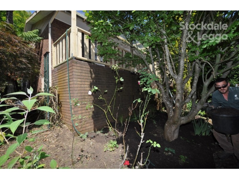 41 Charman Ave, Emerald VIC 3782